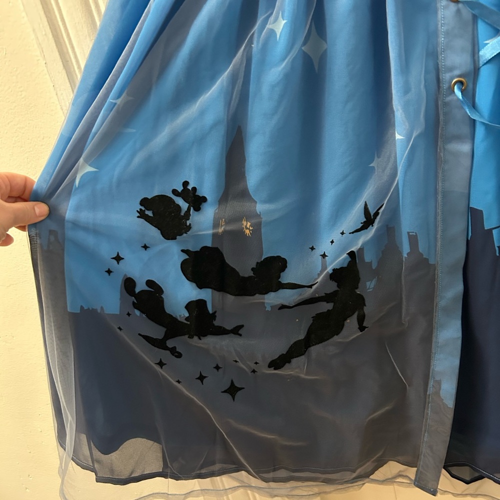 Blue Tulle Skirt with Silhouette Design